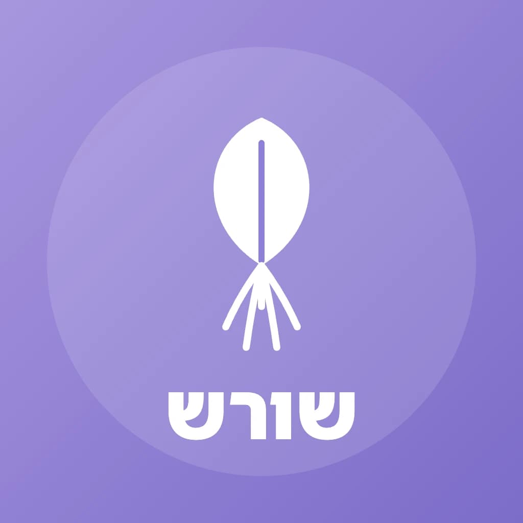 קליניקת שורש, רפלקסולוגיה